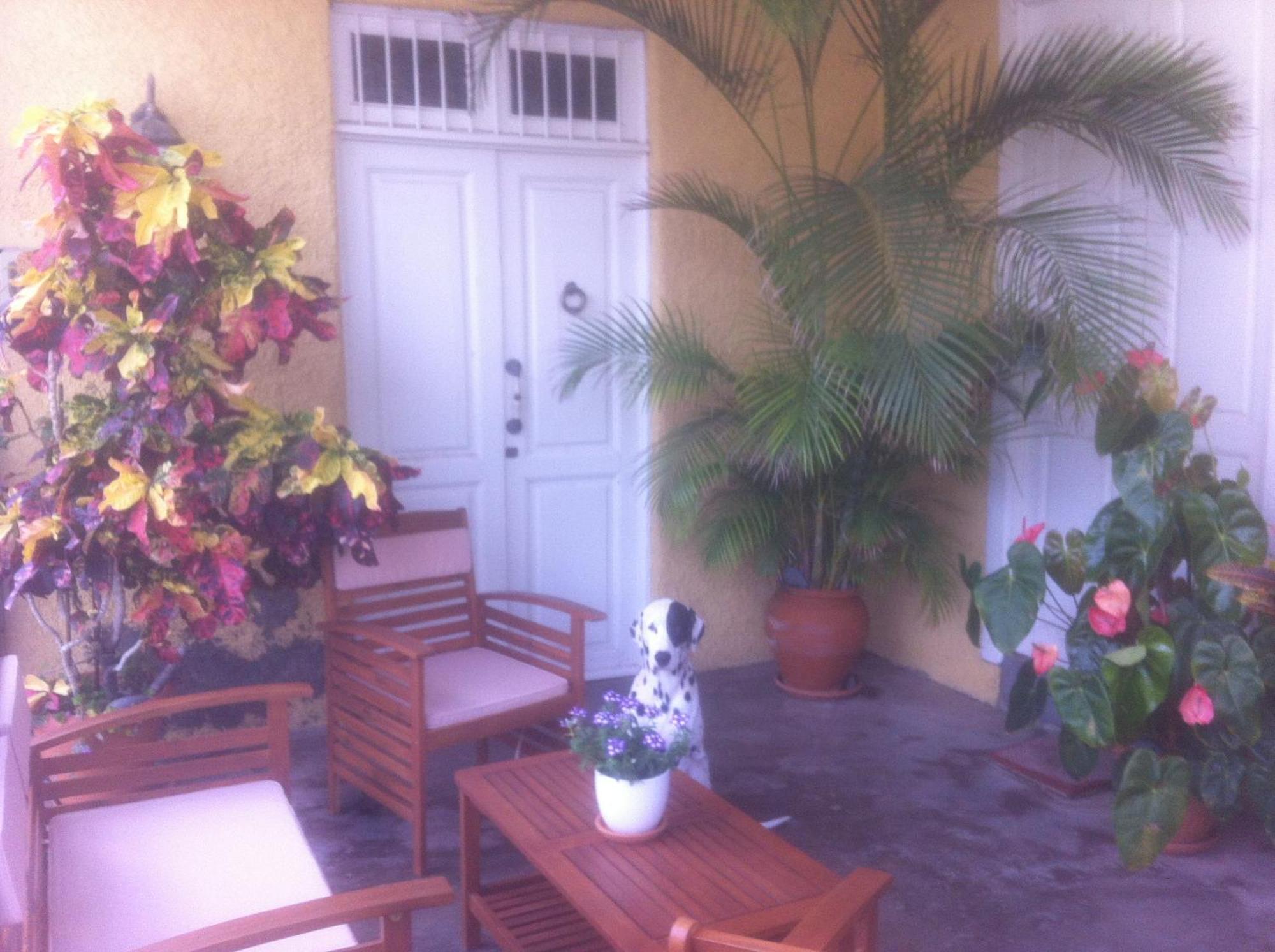 Atlantic Views Apartment Punta Del Hidalgo